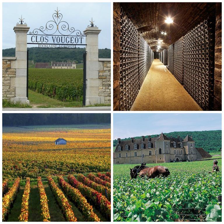 Datcha Bourguignonne Beaune Beaune  Exteriör bild